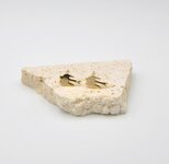 Mini Studs Hirondelles